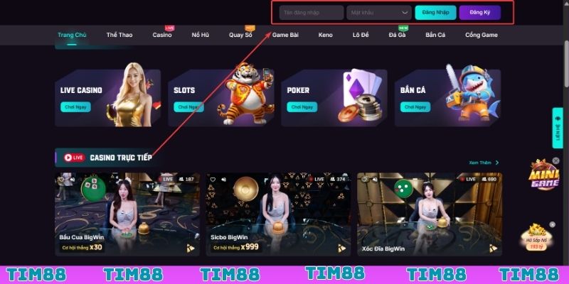 Đăng ký đăng nhập TIM88
