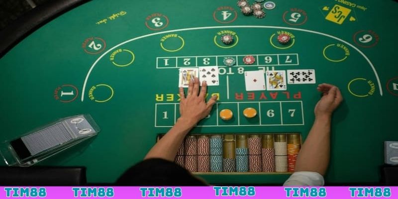 Soi cầu Baccarat