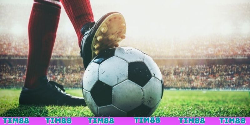Tìm hiểu thông tin giải đấu được nhà cái cập nhật