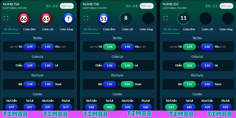 Các loại cược phổ biến khi chơi quay số Number Game