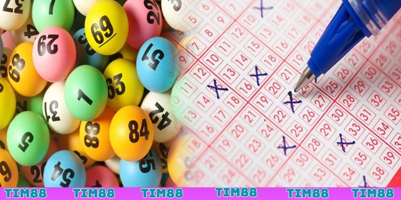 Lưu ý cần tránh trong cách chơi Number Game