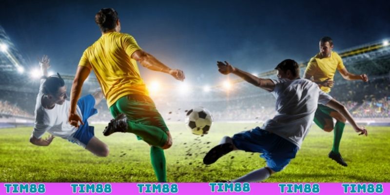 Tham gia cá độ bóng đá trên thể thao TIM88 chất lượng Tham gia cá độ bóng đá trên thể thao TIM88 chất lượng