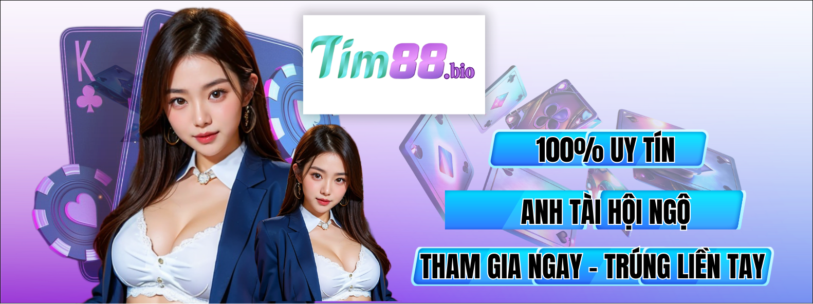 banner tim88